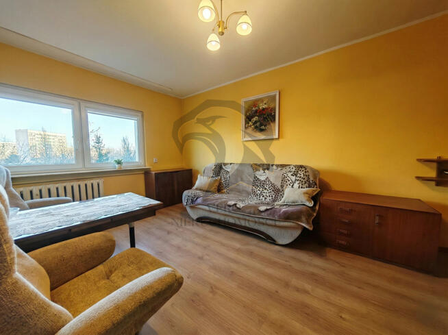 To nie ściernisko, to Twoje przyszłe San Francisco