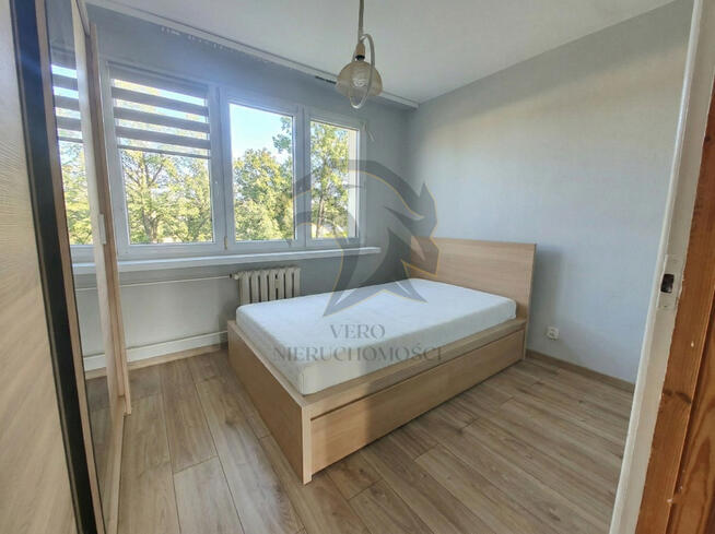 On – renesans. Ty – własność