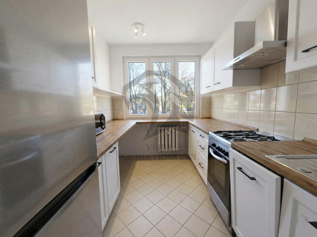 On – renesans. Ty – własność