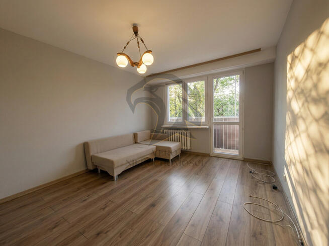 On – renesans. Ty – własność