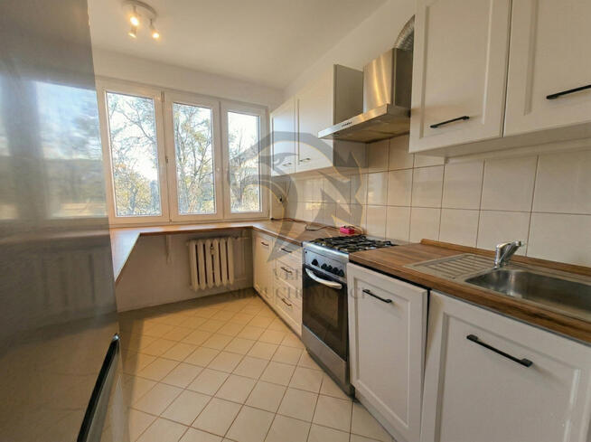 On – renesans. Ty – własność