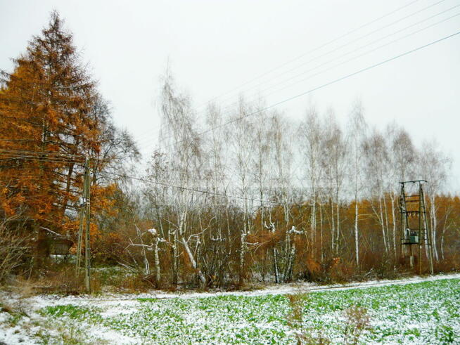 Działka budowlana Tomaszowice-Kolonia gm. Jastków, Tomaszowice Kolonia