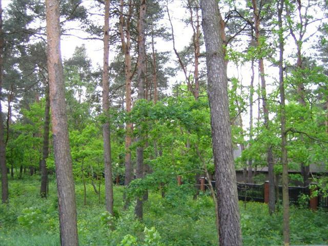 Działka budowlana Warszawa Wesoła, Wesoła Centrum