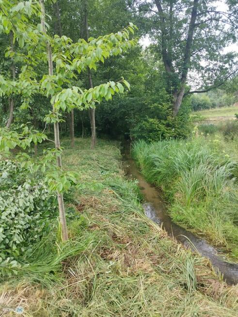 Działka rolna Śladkow Mały Śladkow Mały