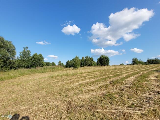 Działka rolna Masłów Masłów Drugi