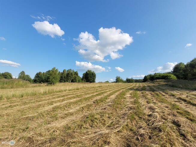 Działka rolna Masłów Masłów Drugi