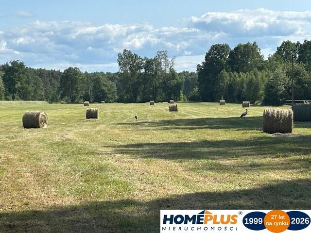 Siedlisko pod lasem, 1,8 ha niedaleko Warszawy