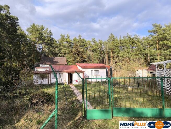 Cicha działka z domkiem w otulinie lasu koło rzeki