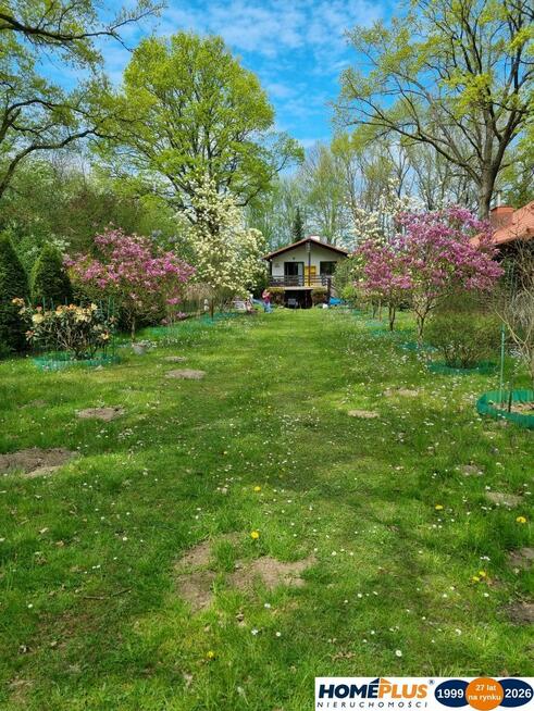 Działka z domkiem przy Bugu na końcu świata