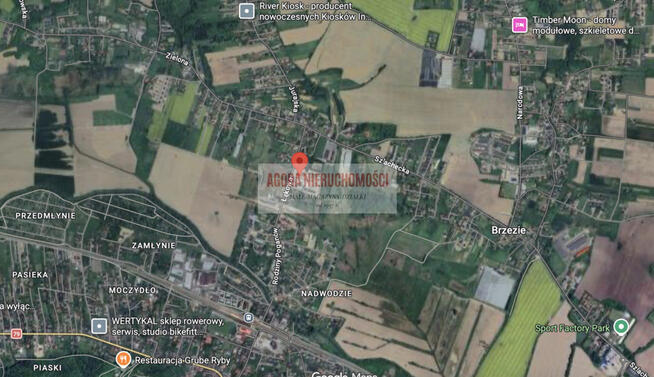 LOKAL USŁUGI HANDEL GASTRONOMIA 620 m2 PARKING