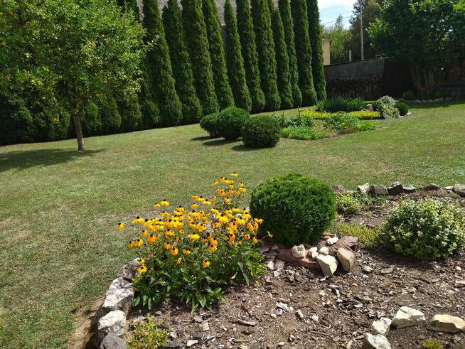 Dom Wojkowice Głowackiego oferta prywatna