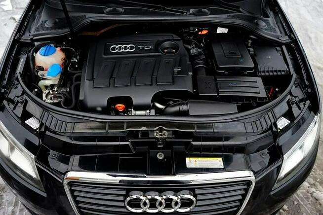 Audi A3 1,6TDI Klima, Xenony, NAVI, grzane fotele, 2011r.