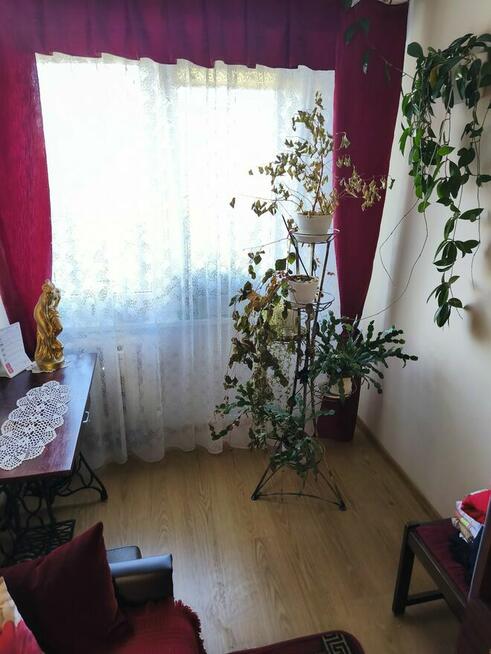 Sprzedam mieszkanie 59 m KW. w Kutnie