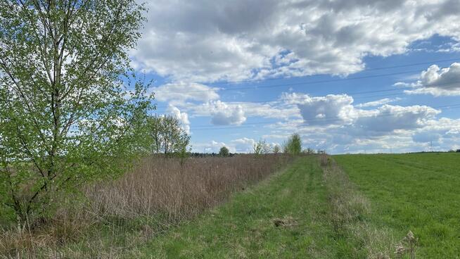 Syndyk sprzeda nieruchomość gruntową w Przyłęku