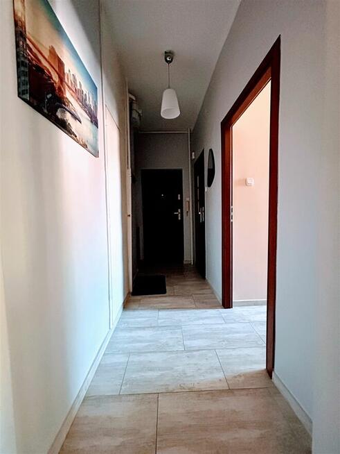 Tychy oś C. Kawalerka z Balkonem