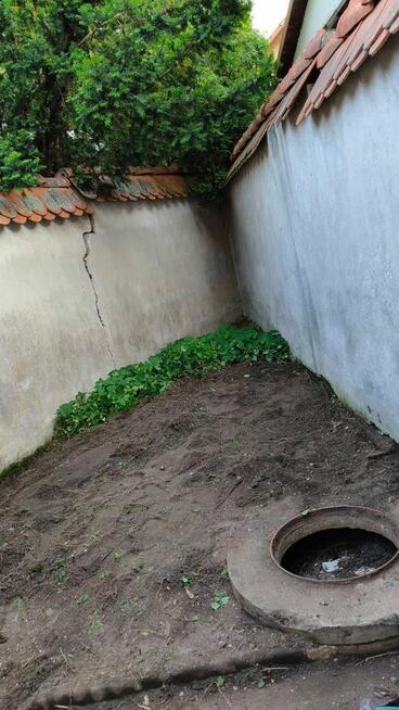 Prace ogrodowe i porządki po zimie – (Kraków i okolice)