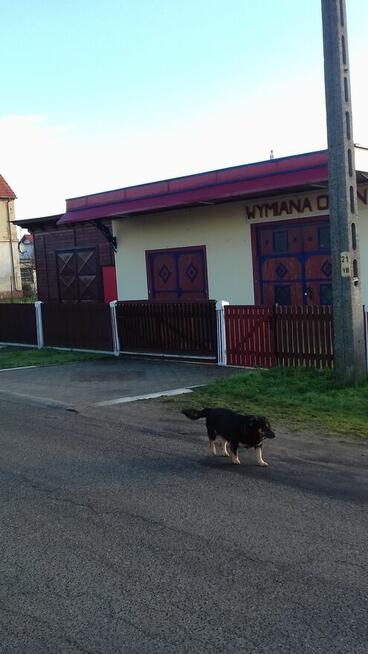 Wynajmę garaż / warsztat samochodowy 120 m² z podnośn