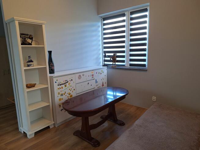 działka ROD Świętojańska