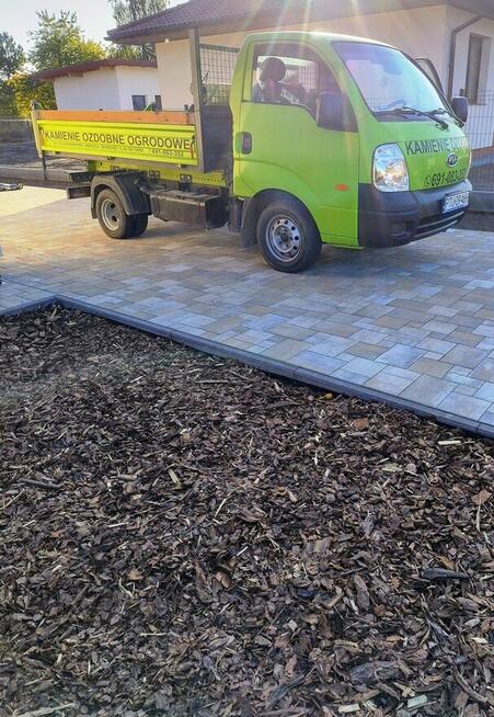 kora sosnowa, kamienie