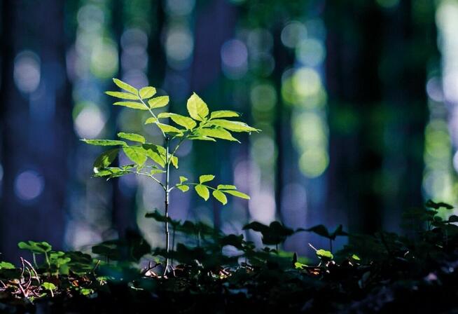 Specjalista / ka bhp p.poż