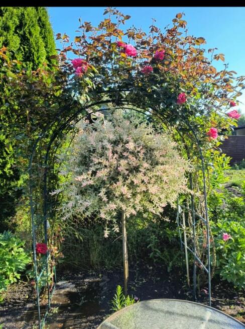 Sprzedam prawa do dzialki