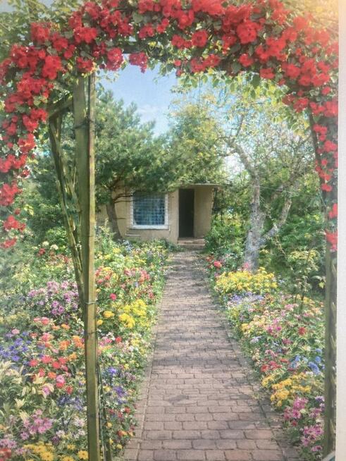 Piękna Działka rekreacyjna ROD Bartek murowany domek