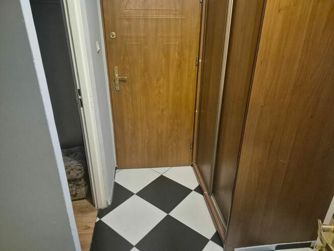 Wynjmę mieszkanie 3 pokojowe