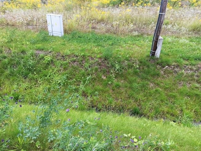 Tychy Urbanowice działka pod działalność