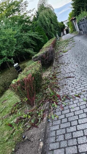 Prace ogrodowe i porządki po zimie – (Kraków i okolice)