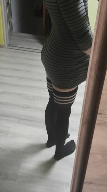 Femboj szuka misia (albo misiów)