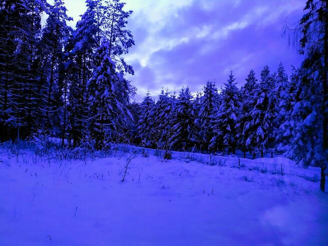 Dom w pięknym miejscu