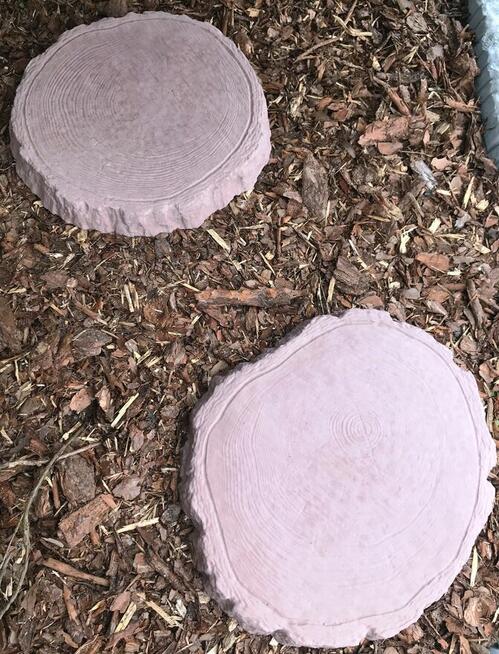 kora sosnowa, kamienie