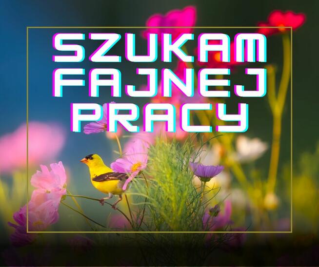 Szukam pracy wśród ludzi - kuchnia/kawiarnia itp