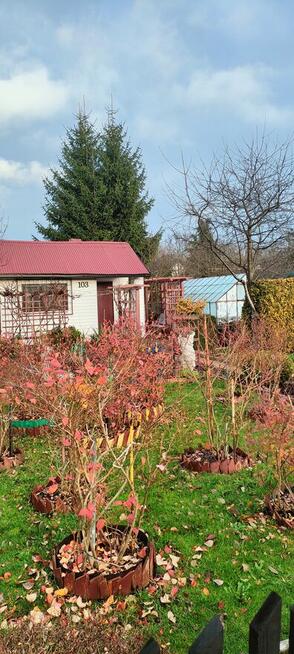 Działki rekreacyjne