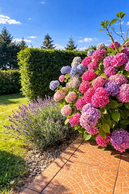 dom blisko morza z dużą działką