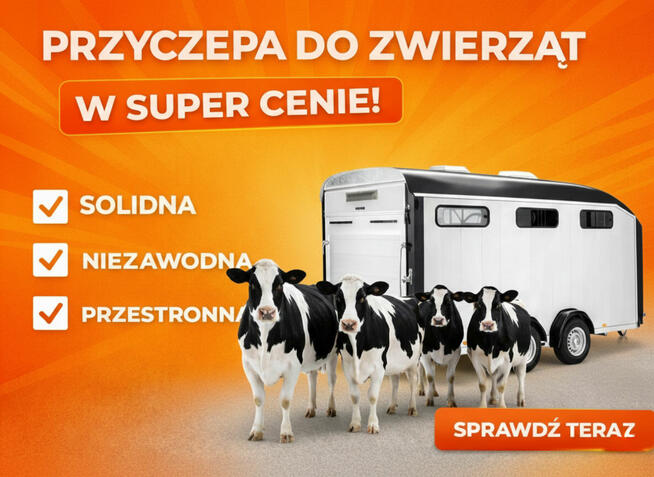 Przyczepa do przewozu bydła krów owiec cieląt cielaków