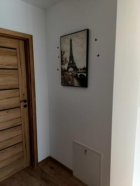 Wynajmę dom z ogródkiem w Rzeszowie