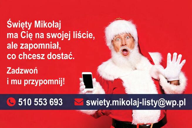 Żywa maskotka Super Mario Bros | Święty Mikołaj do wynajęcia