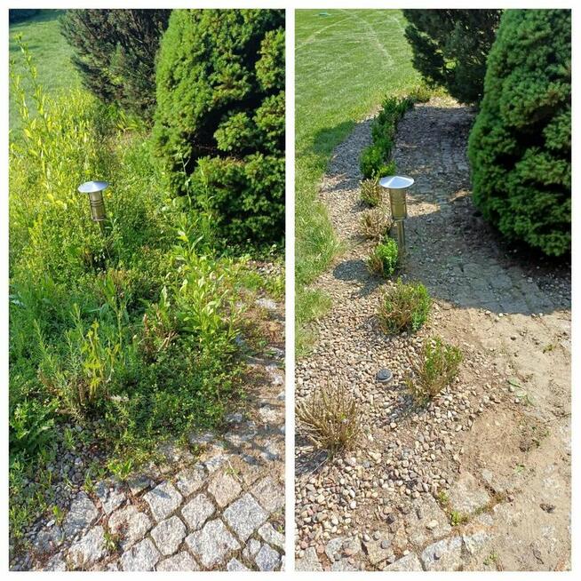 Pomoge w pracach ogrodniczych