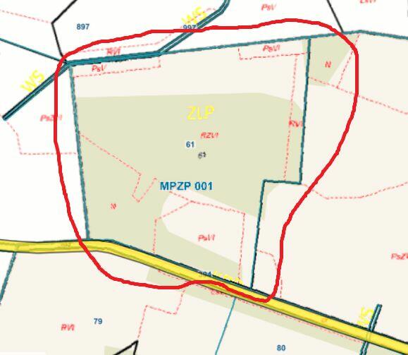 Działka zalesiona w Piątkowiźnie