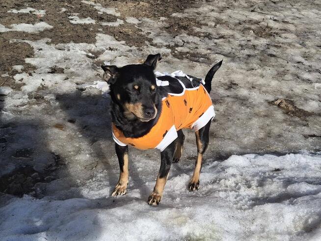 Mała ZUZIA czeka na dom