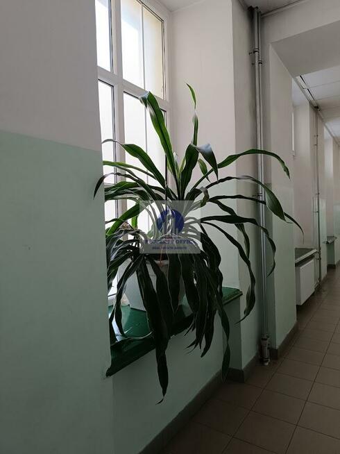 Lokal użytkowy Warszawa Praga-Północ, Targowa