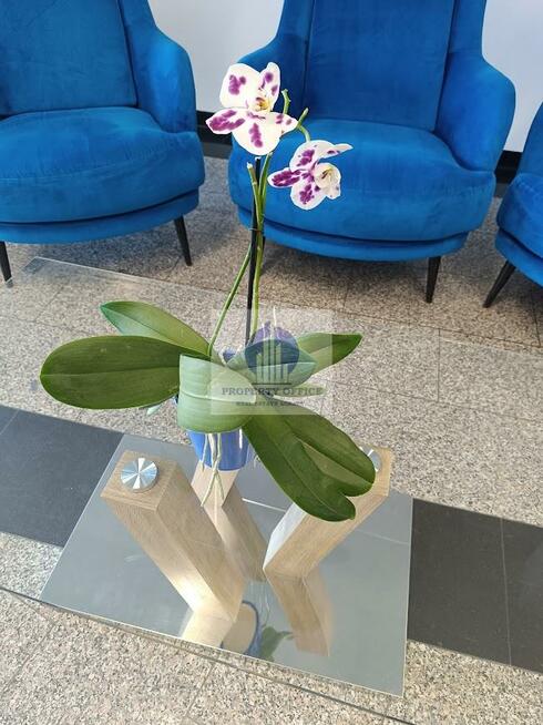 Lokal użytkowy Warszawa Targówek, Toruńska