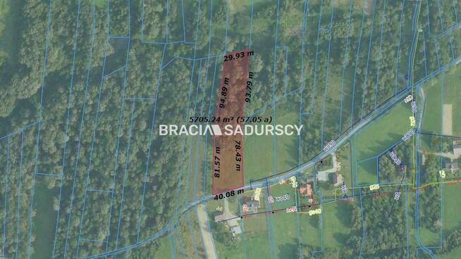 Działka leśna Siepraw, Kalinowa