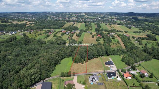 Działka leśna Siepraw, Kalinowa