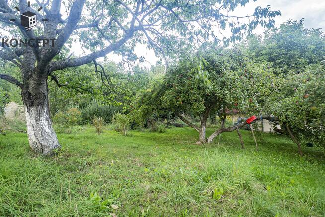 Dom z zabudowaniami z dużą, zieloną działką w cichej okolicy