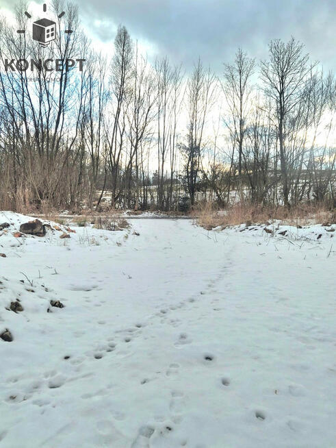 Lubomierz, działka na sprzedaż z widokiem na staw.