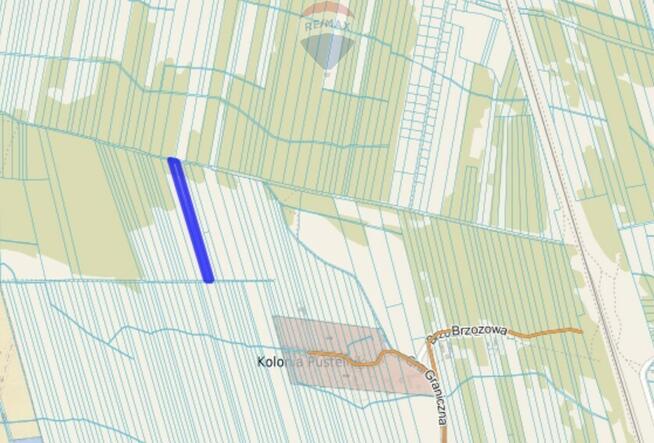 Działka rolna z samosiejkami