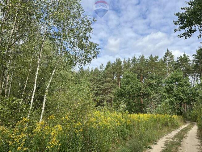 Działka siedliskowa