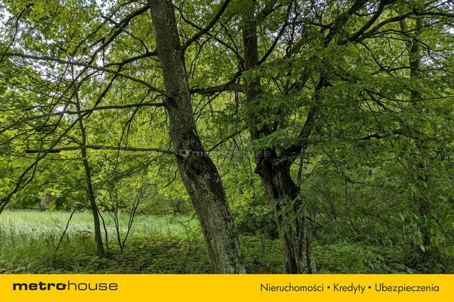 Zabytkowy Park Pałacowy/Dworski z XIX w. - 7.27ha